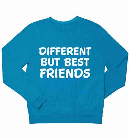 Different but best friends children's blue sweater 12-13 Years