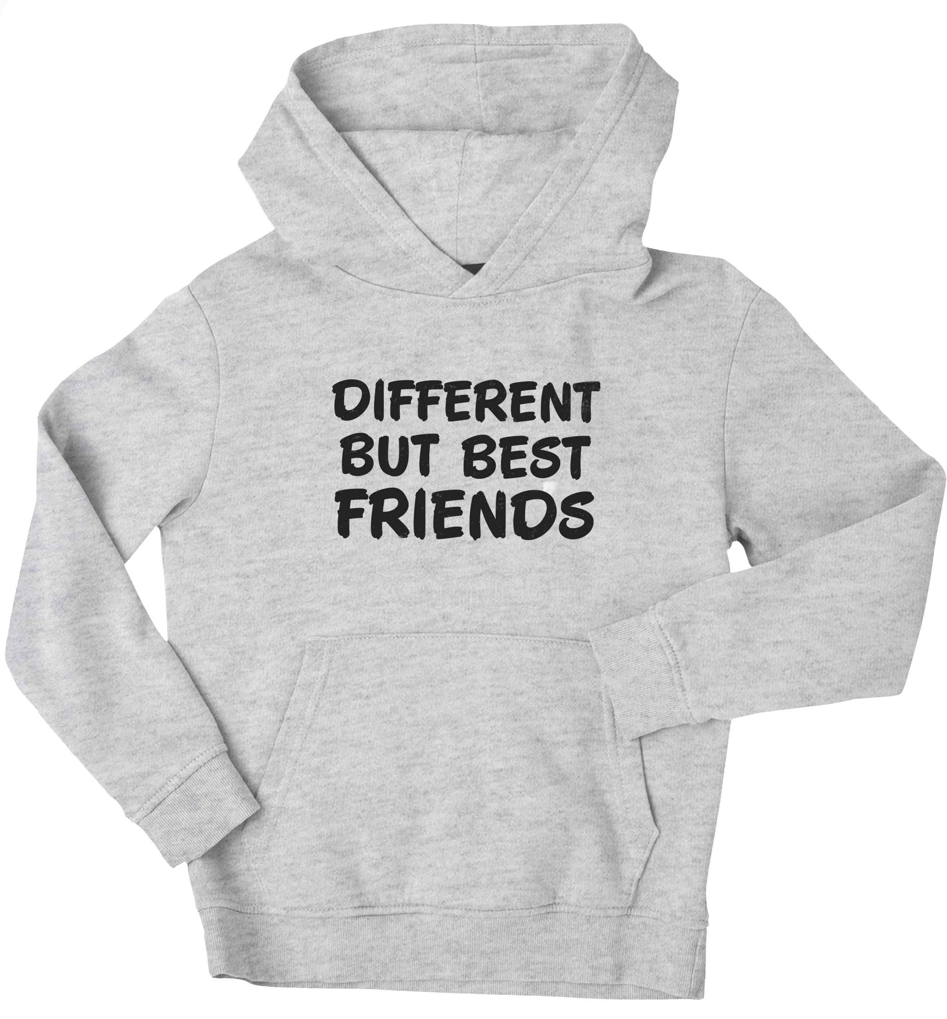 Different but best friends children's grey hoodie 12-13 Years