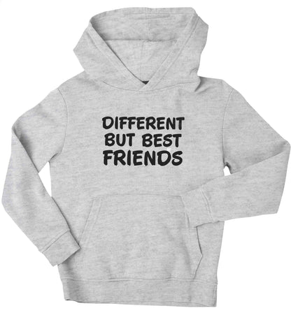 Different but best friends children's grey hoodie 12-13 Years