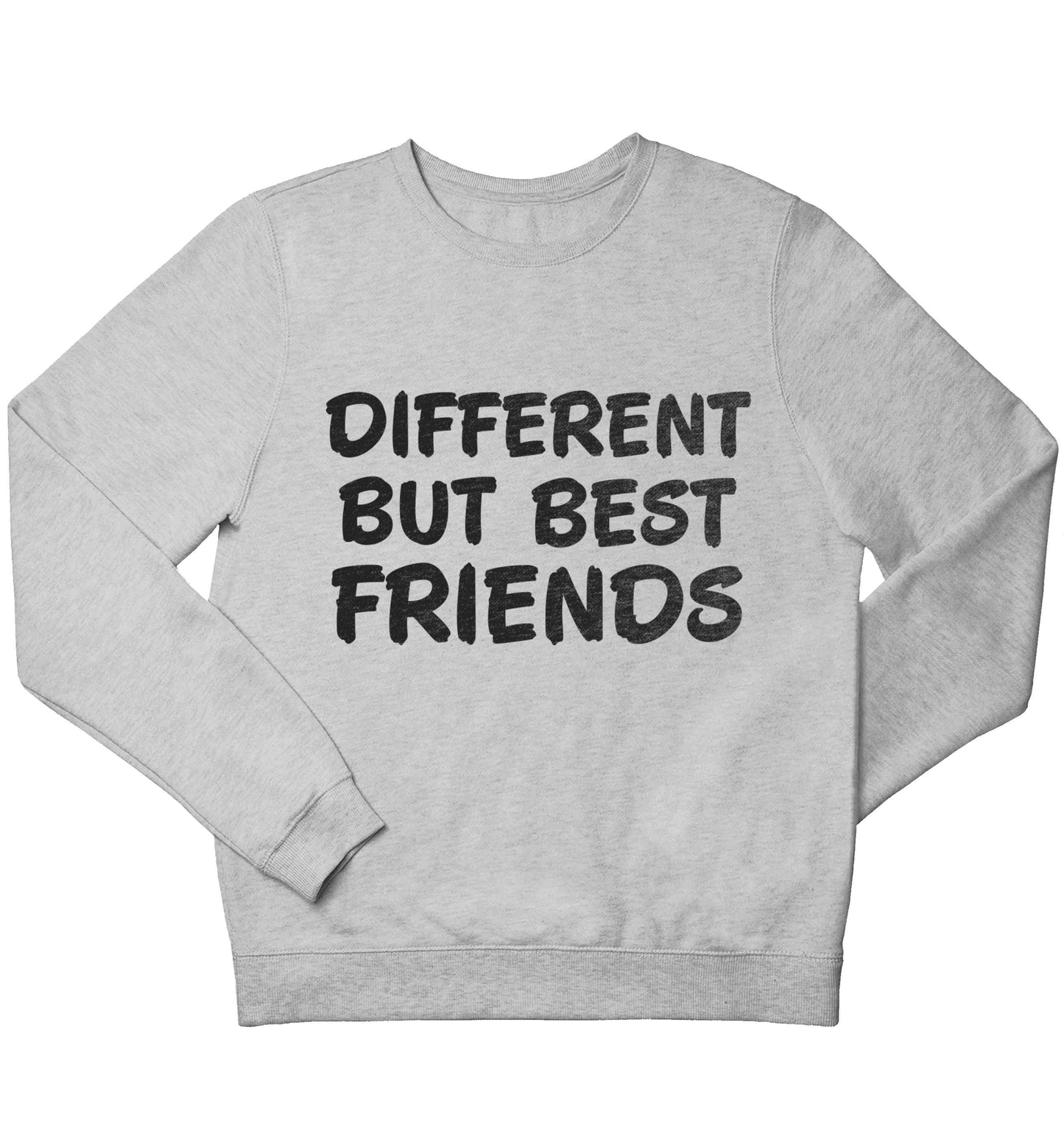 Different but best friends children's grey sweater 12-13 Years