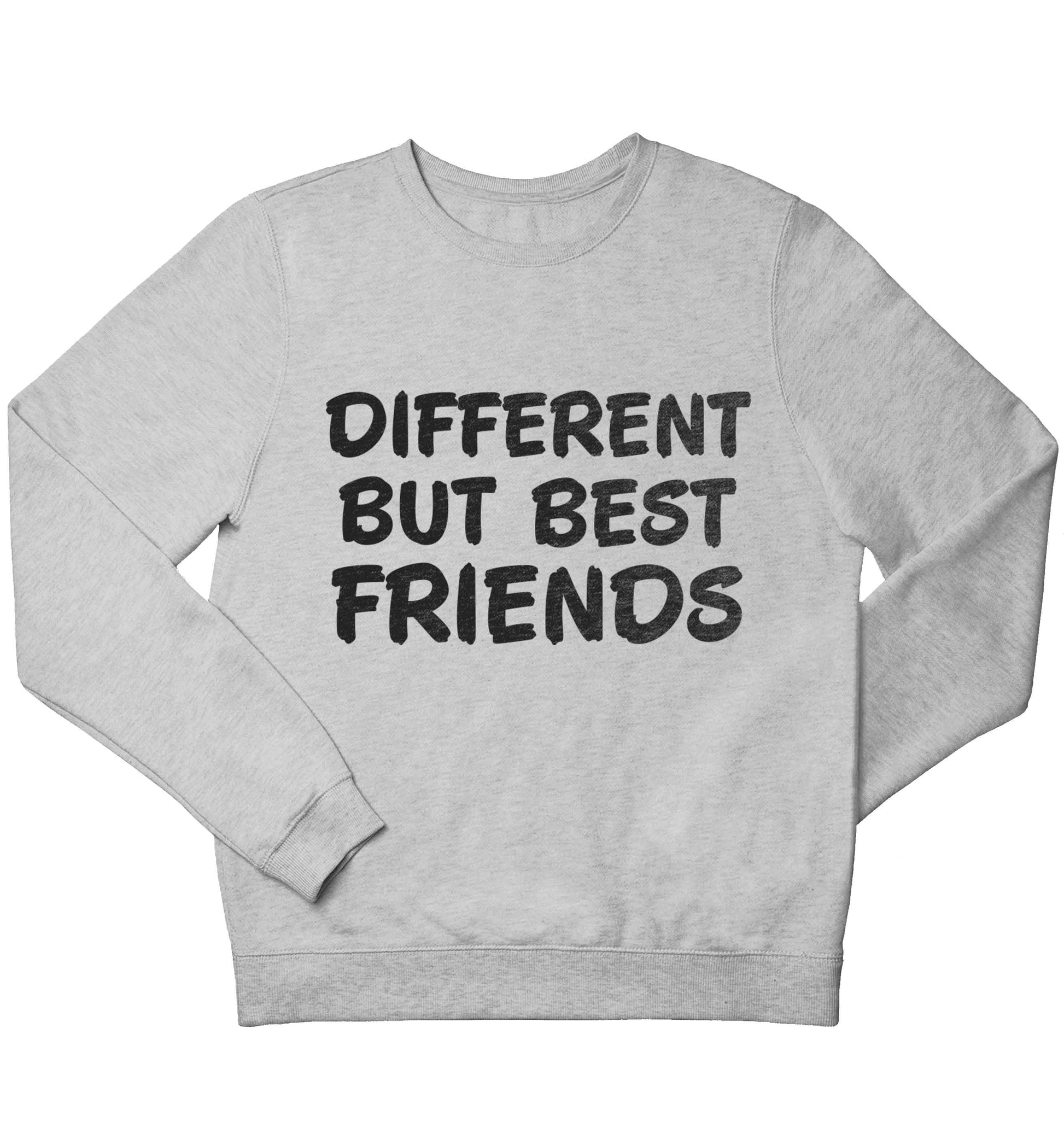 Different but best friends children's grey sweater 12-13 Years