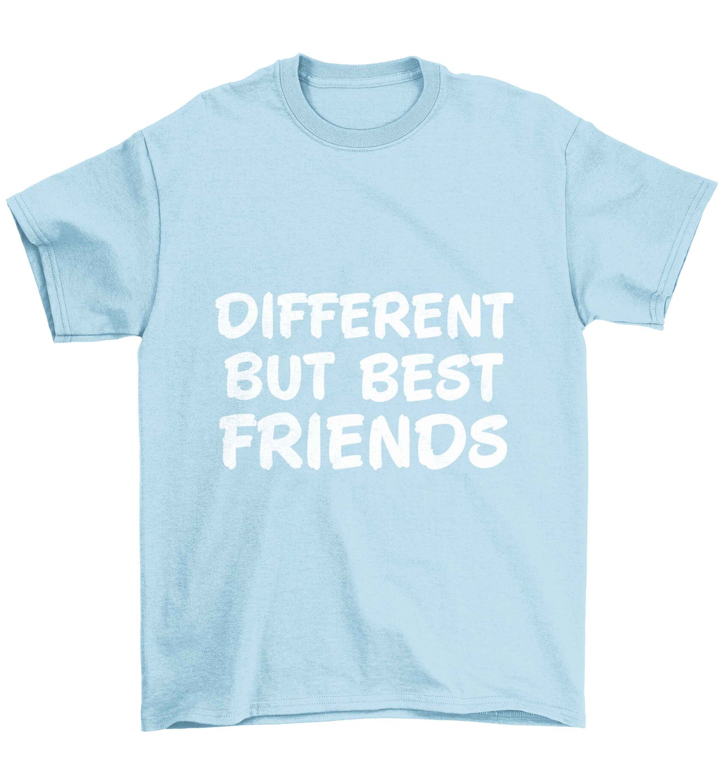 Different but best friends Children's light blue Tshirt 12-13 Years