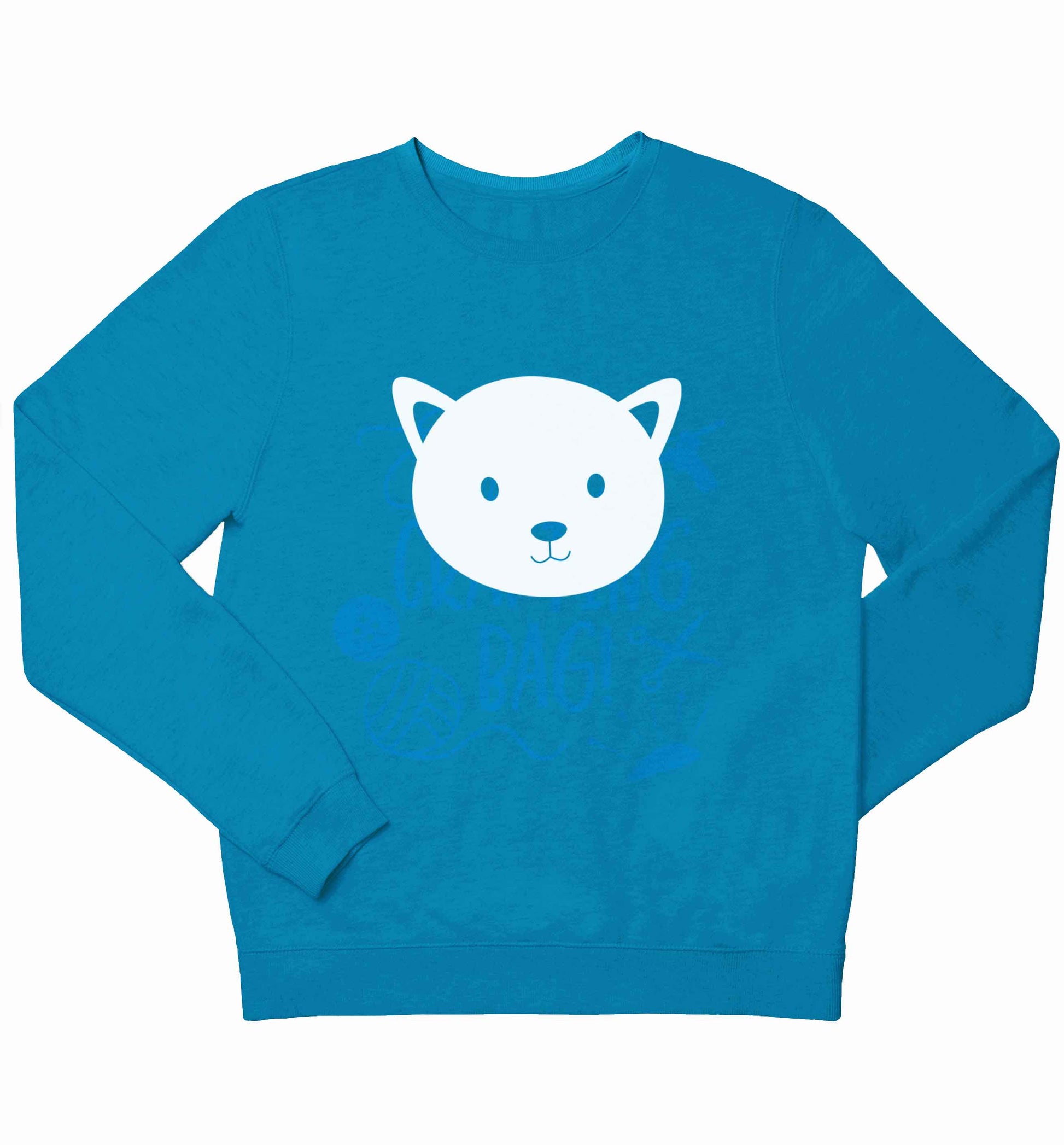 Cat face only Kit children's blue sweater 12-13 Years