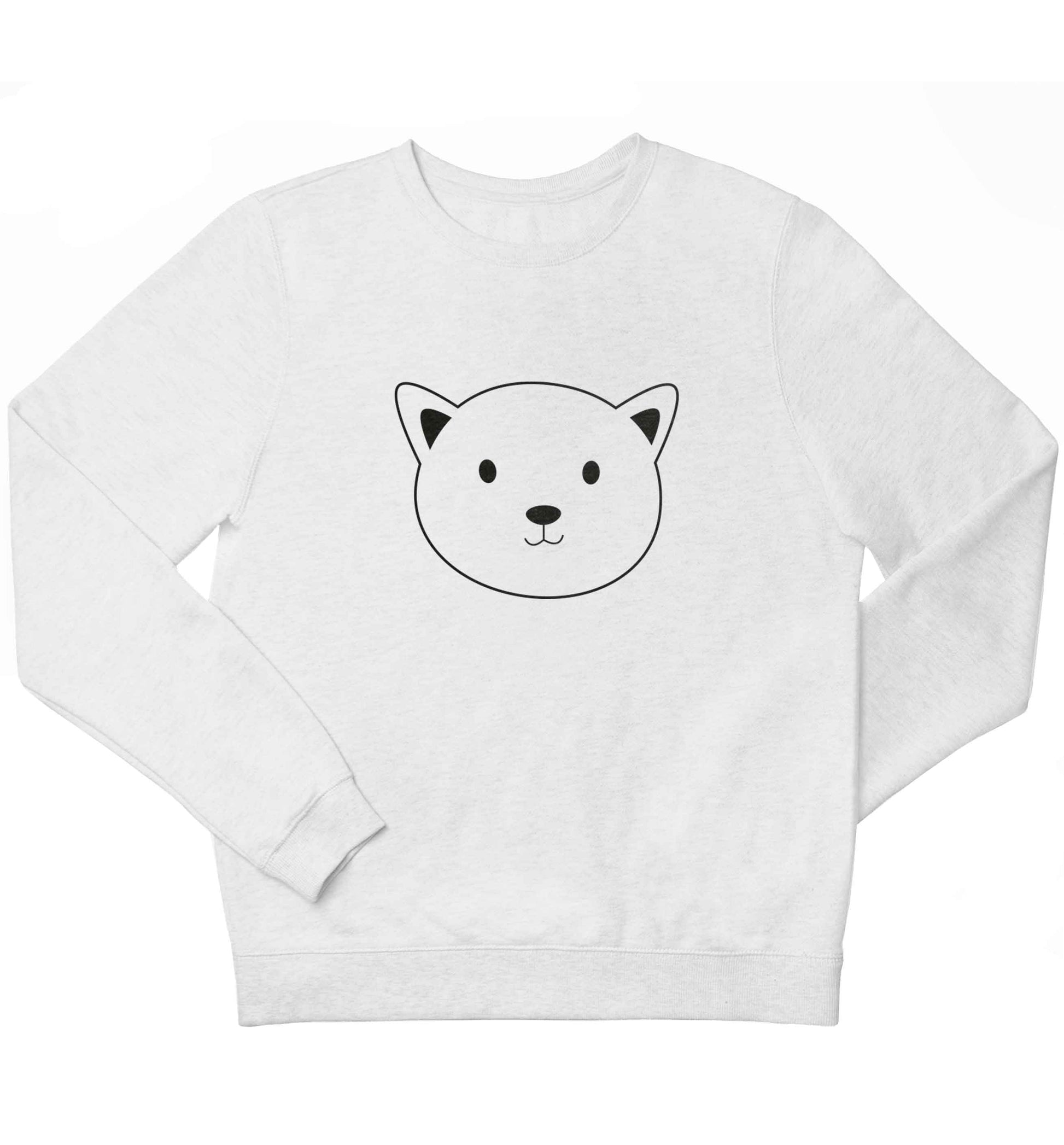 Cat face only Kit children's white sweater 12-13 Years