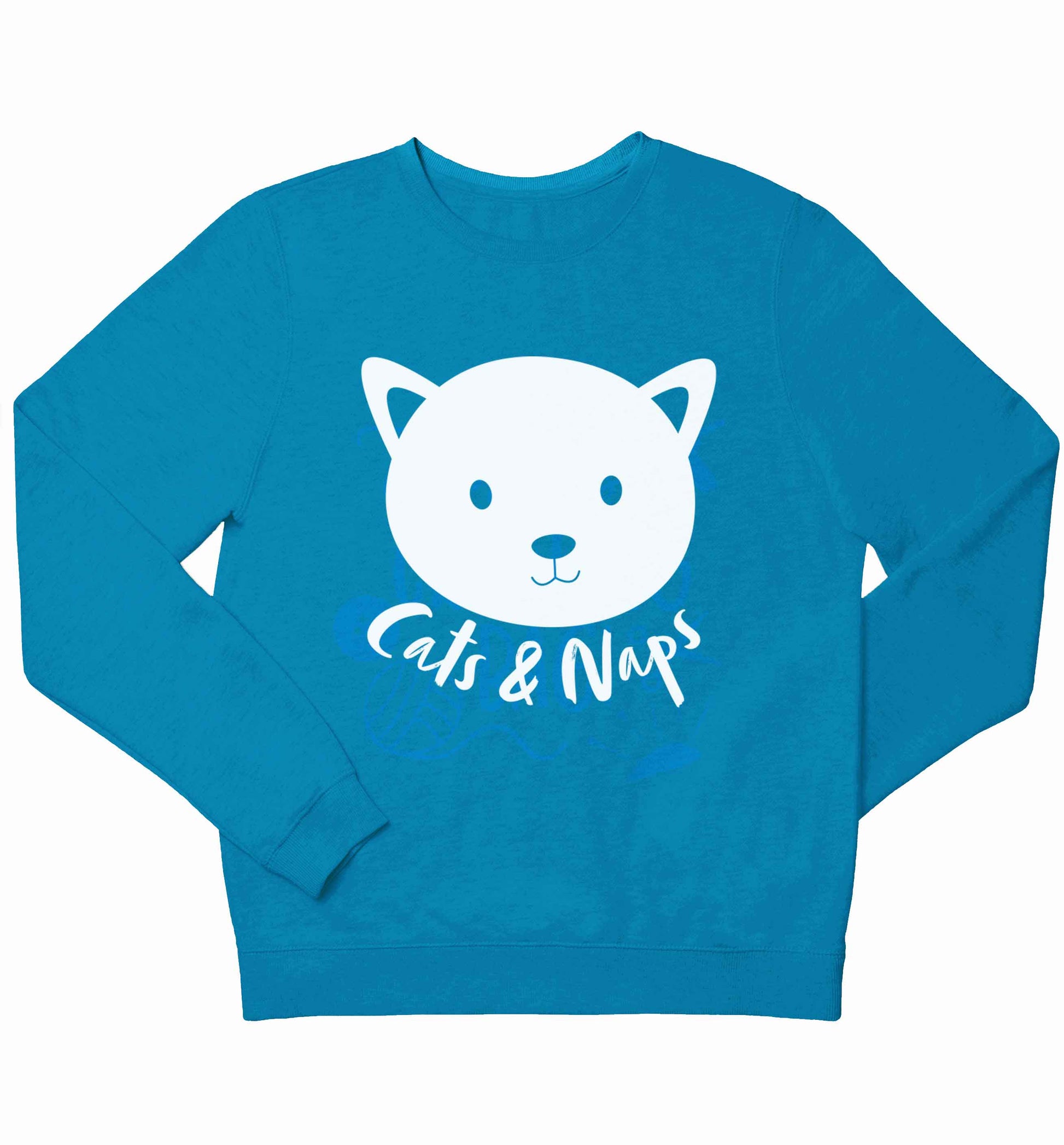 Cats and naps Kit children's blue sweater 12-13 Years