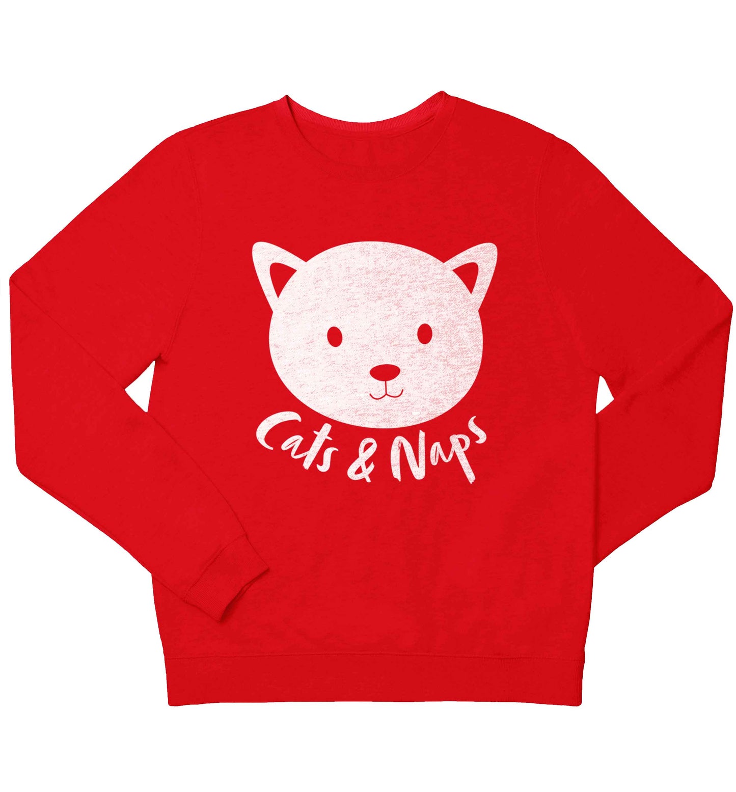 Cats and naps Kit children's grey sweater 12-13 Years