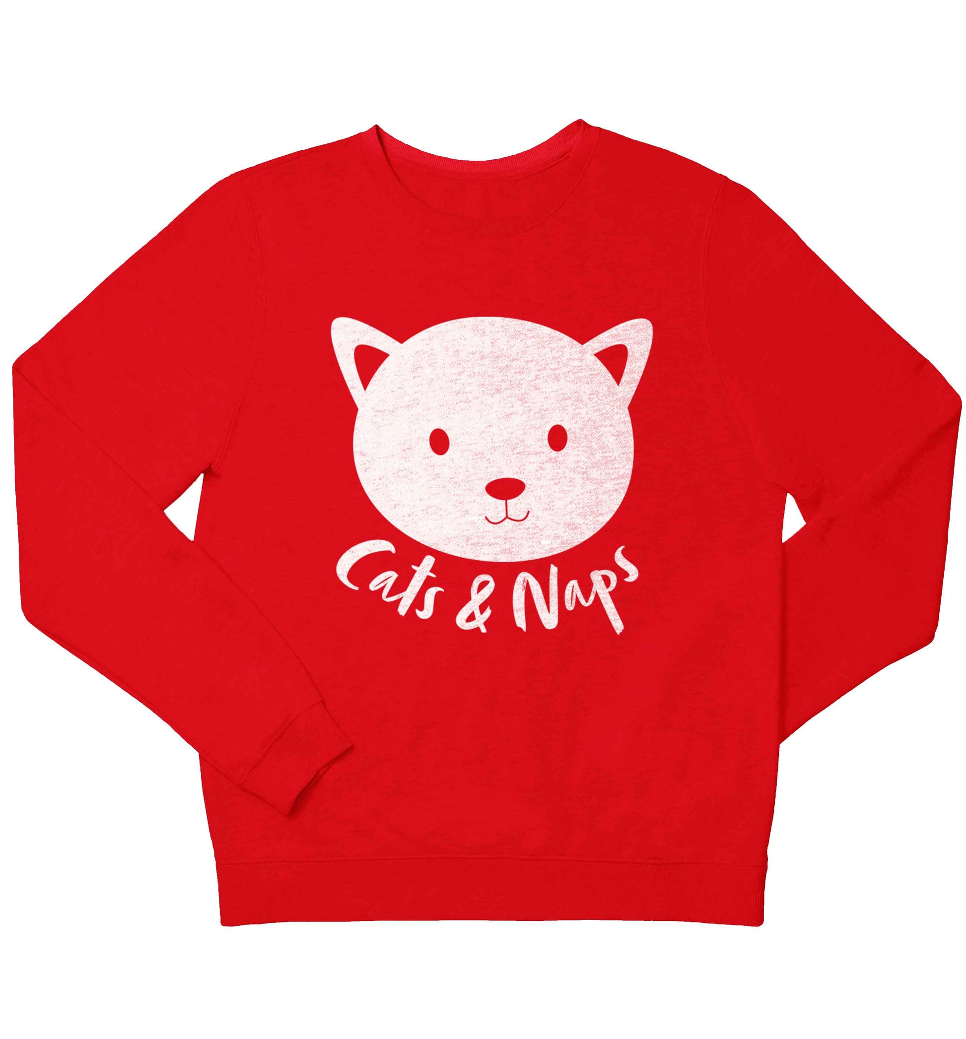 Cats and naps Kit children's grey sweater 12-13 Years