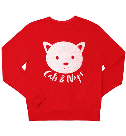 Cats and naps Kit children's grey sweater 12-13 Years