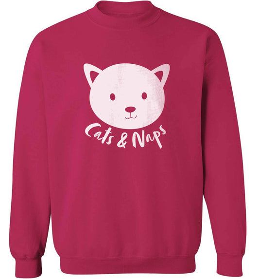 Cats and naps Kit adult's unisex pink sweater 2XL