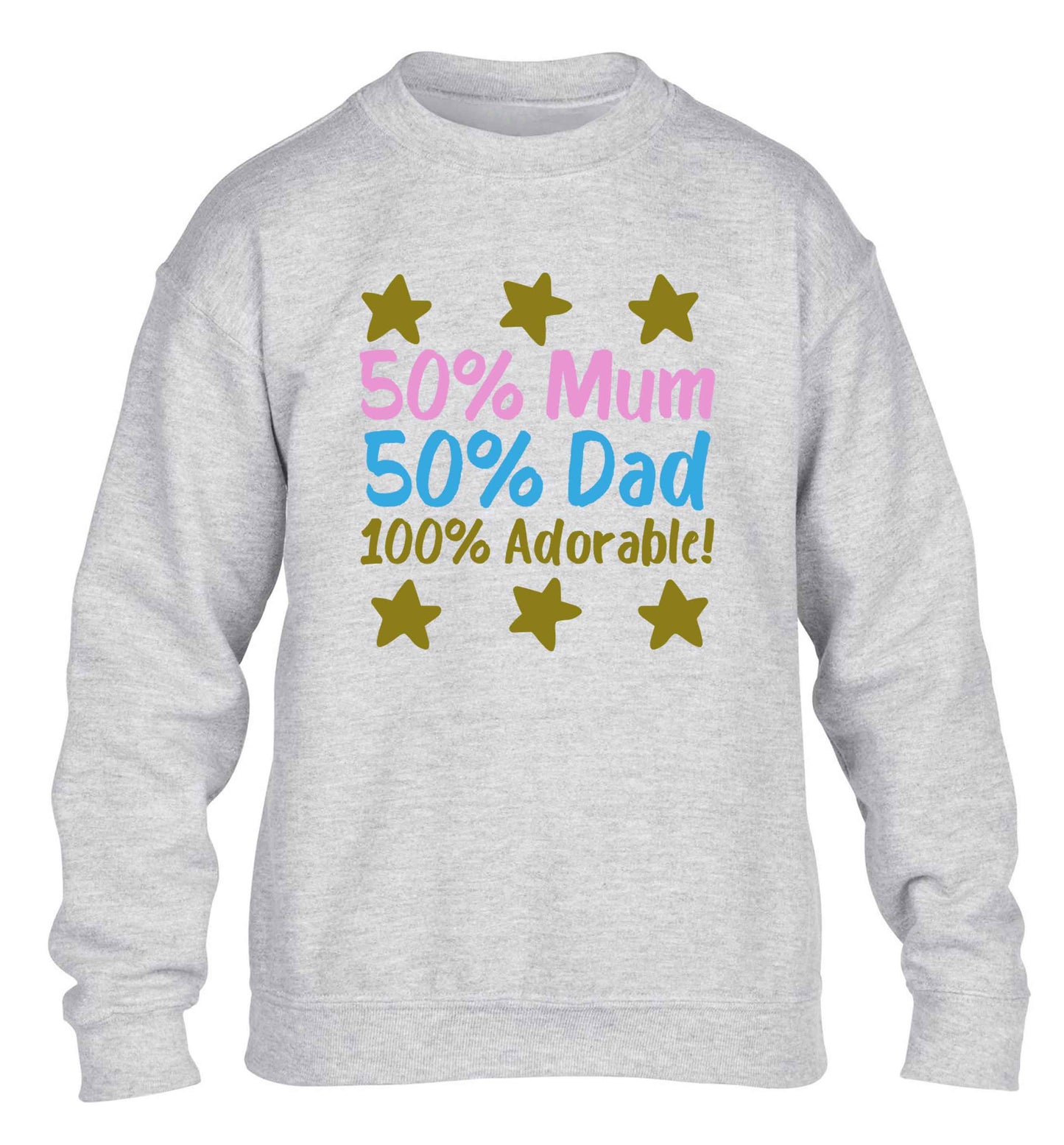 50% mum 50% dad 100% adorable children's grey sweater 12-13 Years