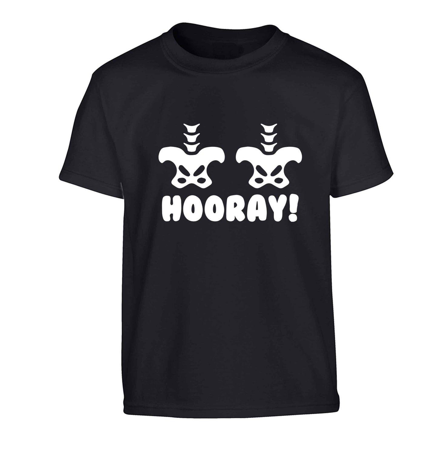 Hip Hip Hooray! Children's black Tshirt 12-13 Years