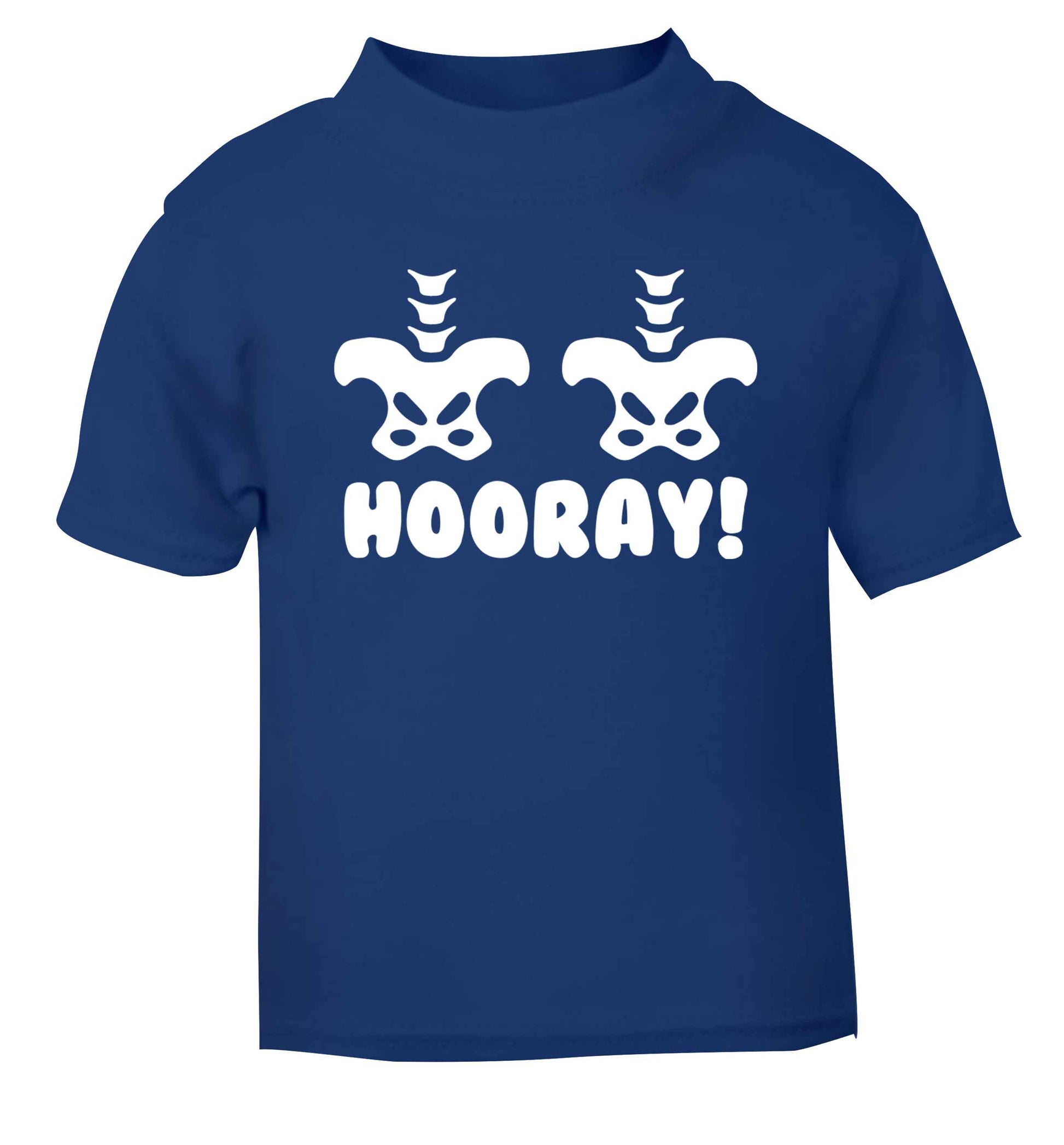 Hip Hip Hooray! blue baby toddler Tshirt 2 Years