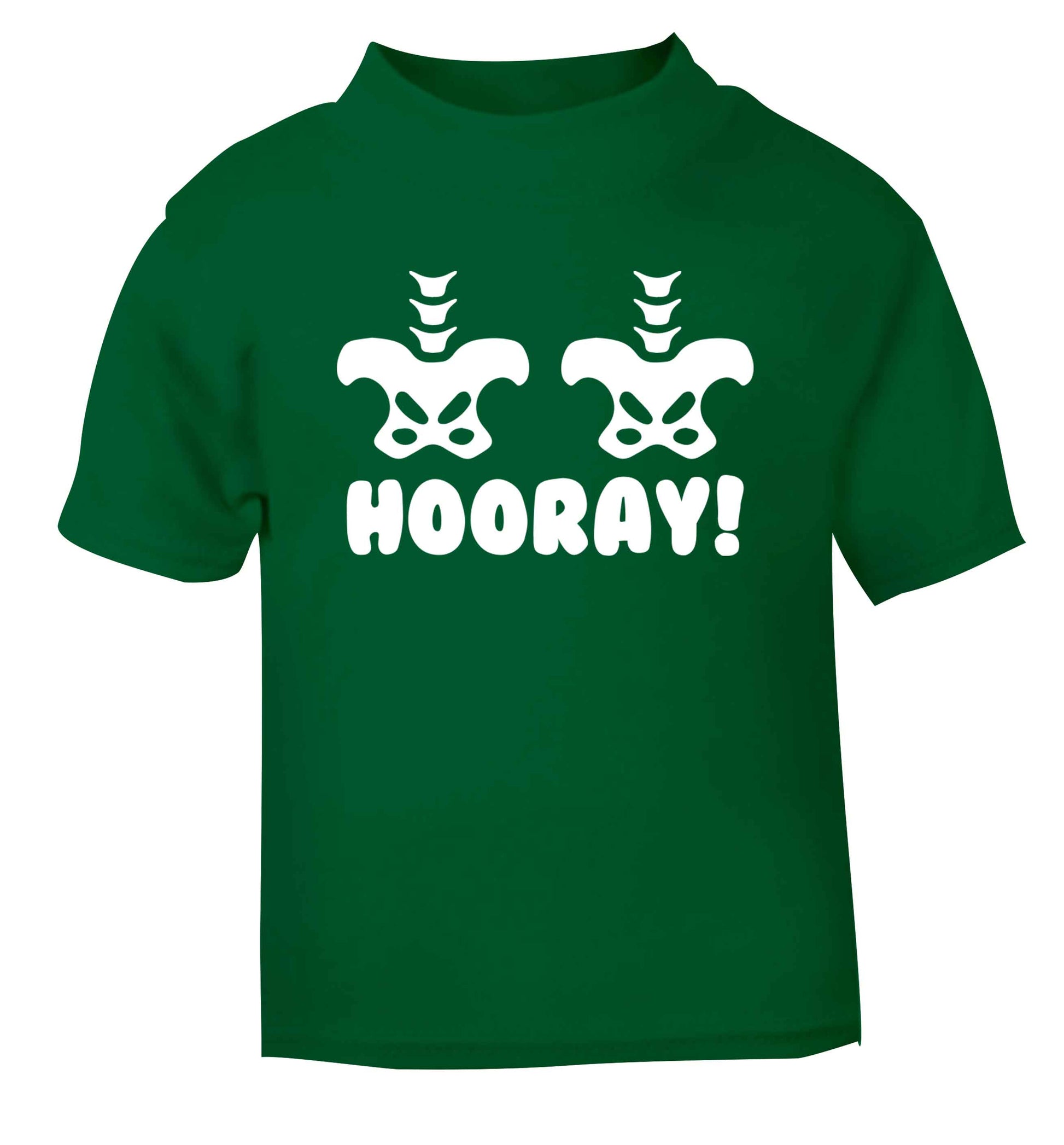 Hip Hip Hooray! green baby toddler Tshirt 2 Years