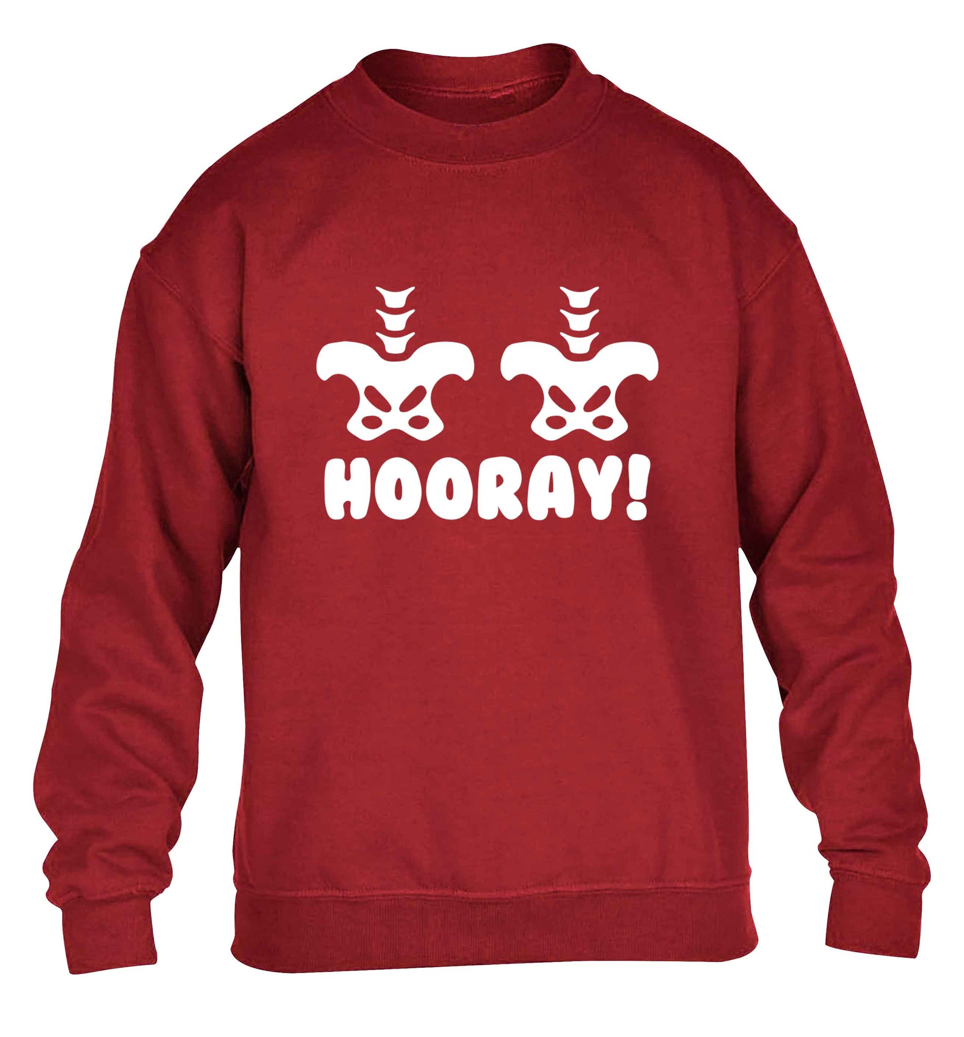 Hip Hip Hooray! children's grey sweater 12-13 Years