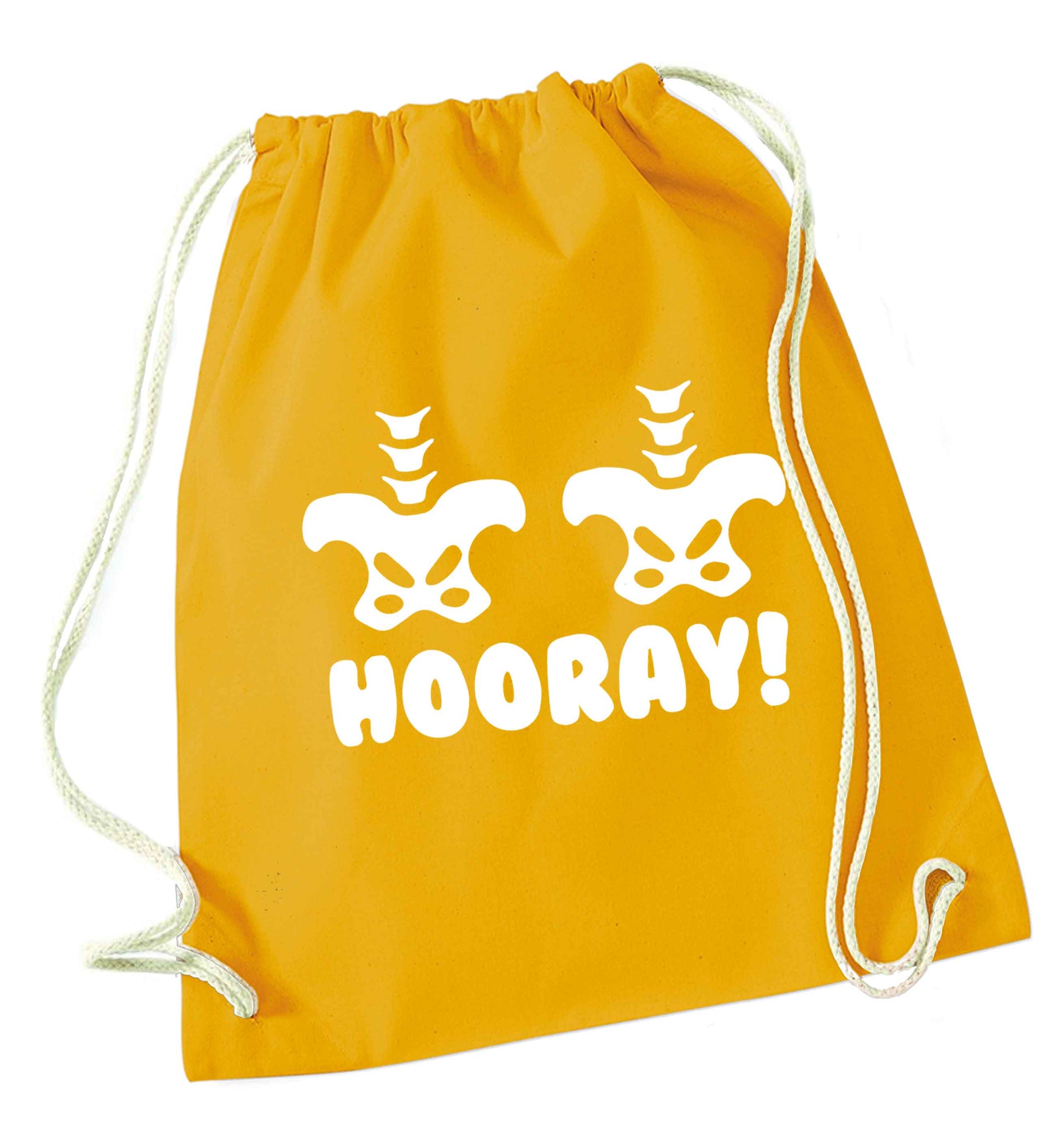 Hip Hip Hooray! mustard drawstring bag