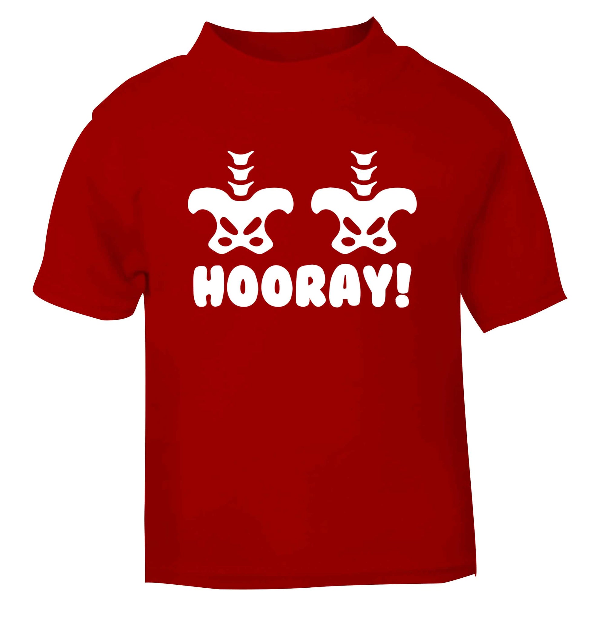 Hip Hip Hooray! red baby toddler Tshirt 2 Years