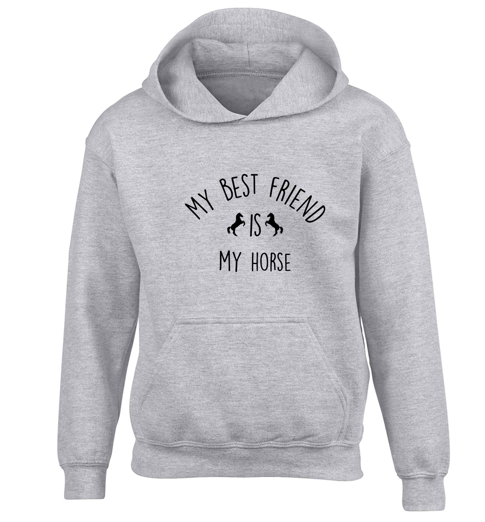 My best friend is my horse children's grey hoodie 12-13 Years