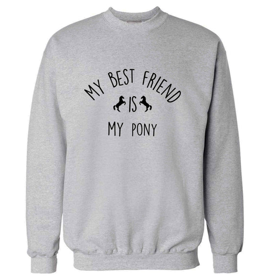 My best friend is my pony adult's unisex grey sweater 2XL