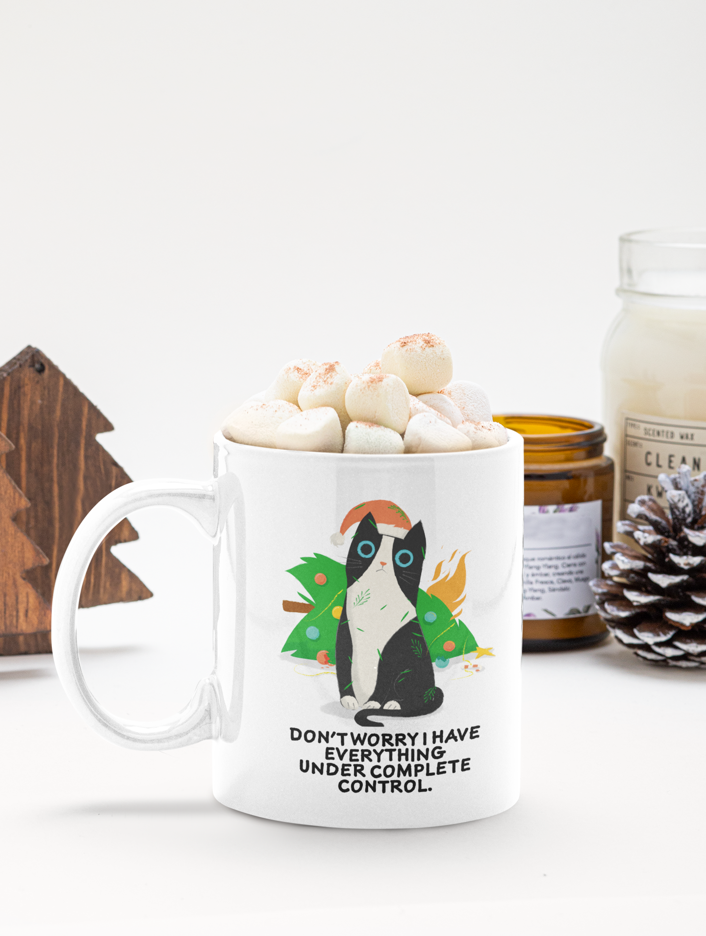 Don't worry I have everything under complete control | Ceramic Mug